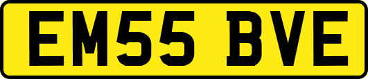EM55BVE