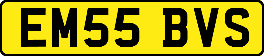 EM55BVS