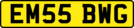 EM55BWG