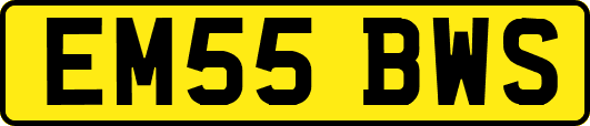 EM55BWS