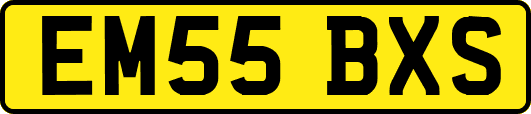 EM55BXS