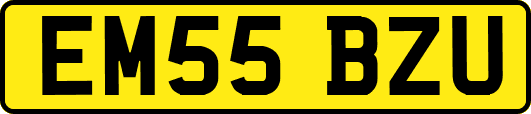 EM55BZU