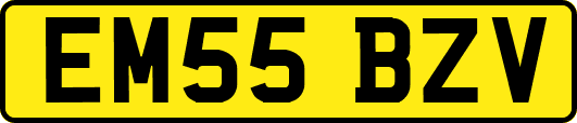 EM55BZV