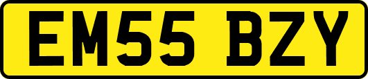 EM55BZY