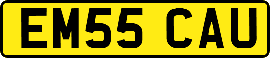 EM55CAU