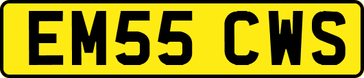 EM55CWS