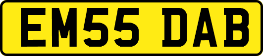 EM55DAB
