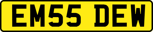 EM55DEW