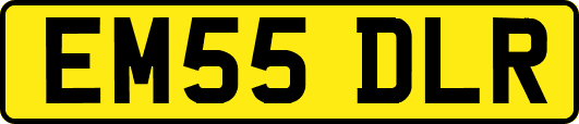 EM55DLR