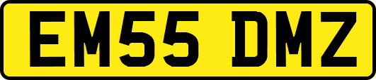 EM55DMZ