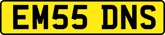 EM55DNS