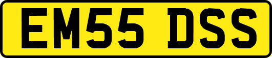 EM55DSS