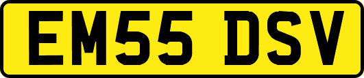 EM55DSV