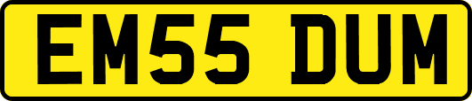 EM55DUM