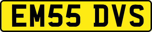 EM55DVS