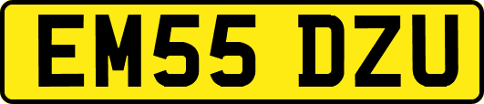 EM55DZU