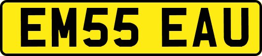 EM55EAU