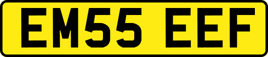 EM55EEF
