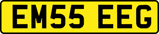 EM55EEG