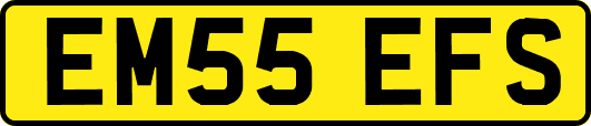 EM55EFS