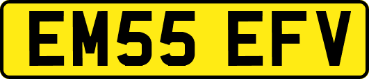 EM55EFV