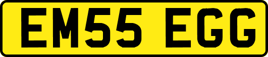 EM55EGG