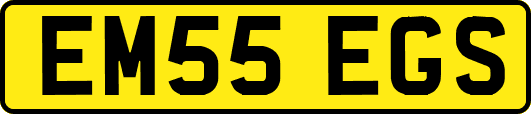 EM55EGS