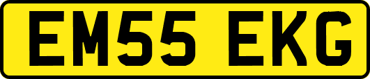 EM55EKG