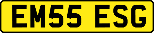 EM55ESG