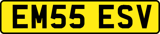 EM55ESV