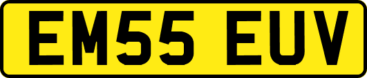 EM55EUV