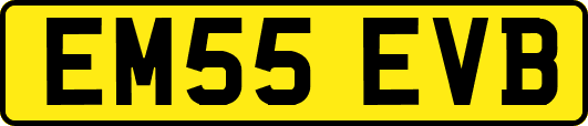 EM55EVB