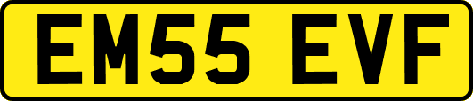 EM55EVF