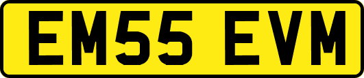 EM55EVM