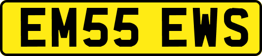EM55EWS