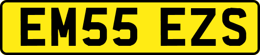 EM55EZS