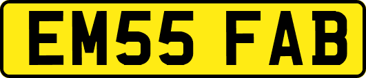 EM55FAB
