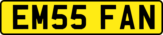 EM55FAN