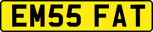 EM55FAT