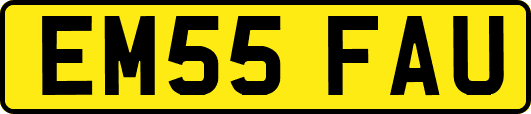 EM55FAU