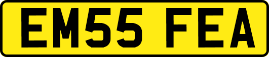 EM55FEA