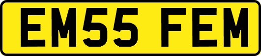 EM55FEM