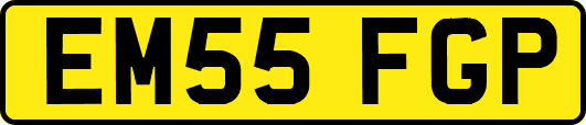EM55FGP