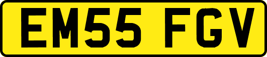 EM55FGV