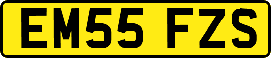 EM55FZS