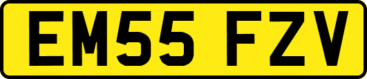 EM55FZV