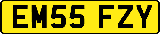EM55FZY