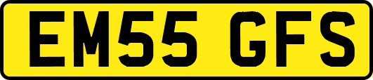 EM55GFS