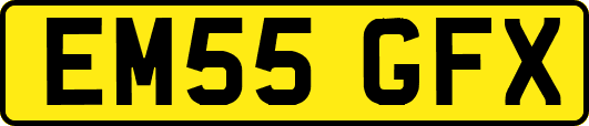 EM55GFX
