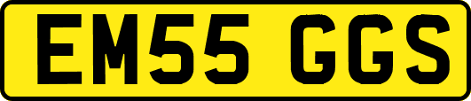 EM55GGS